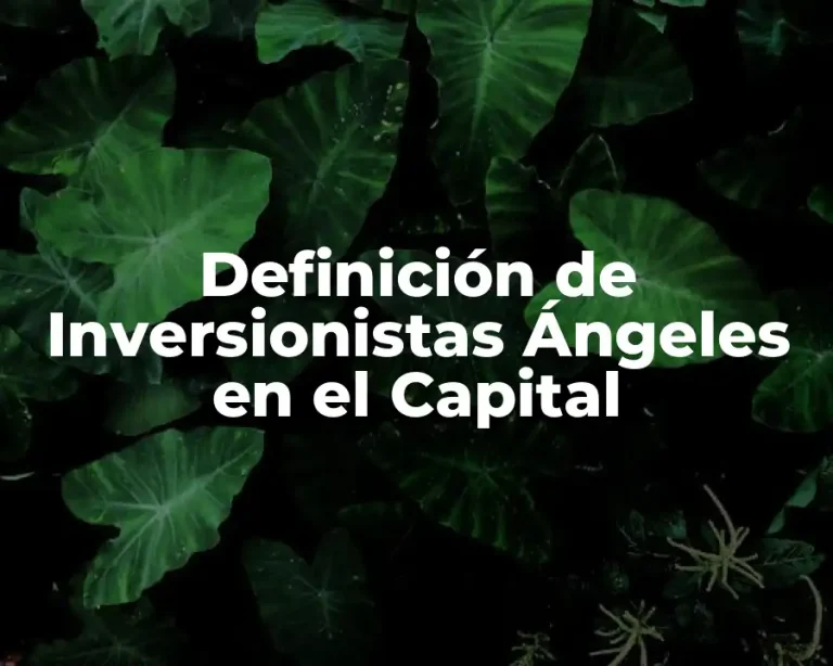 Definición de Inversionistas Ángeles en el Capital