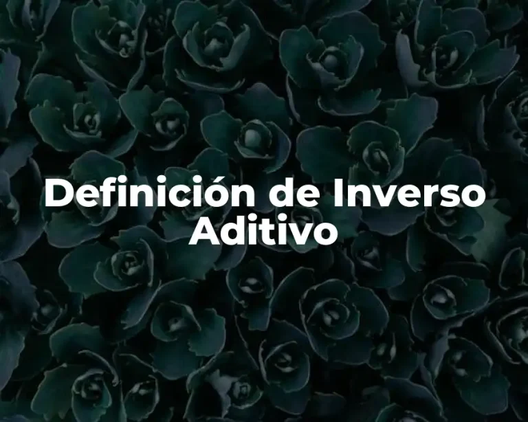 Definición de Inverso Aditivo