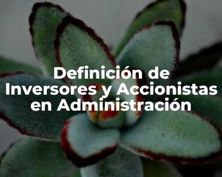 Definición de Inversores y Accionistas en Administración