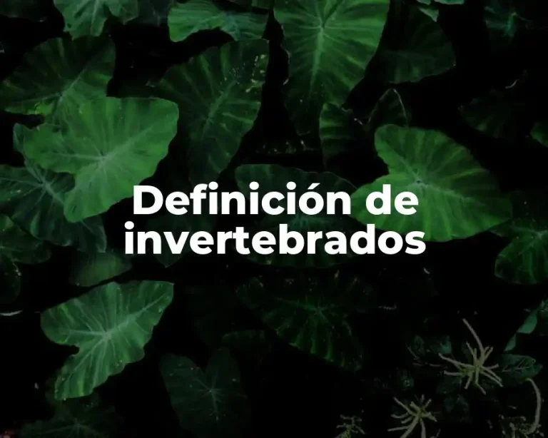 Definición de invertebrados