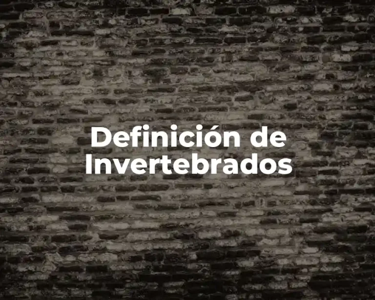 Definición de Invertebrados