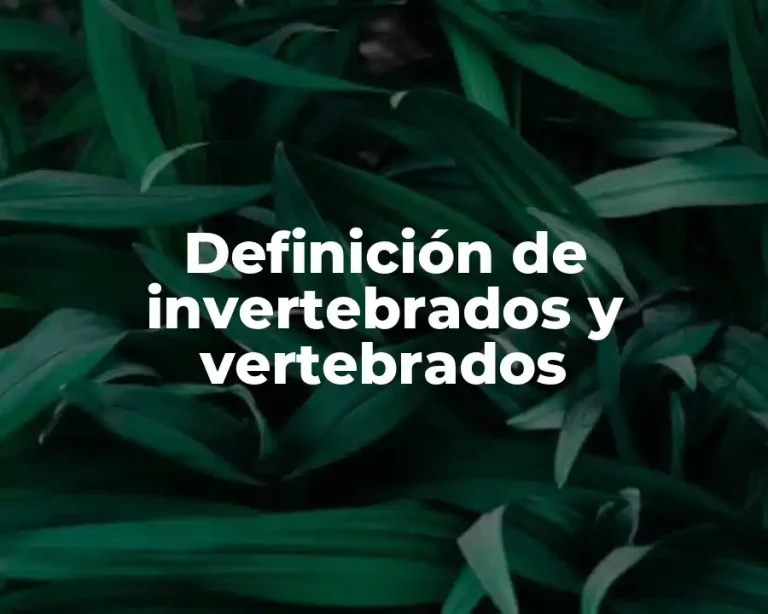Definición de invertebrados y vertebrados