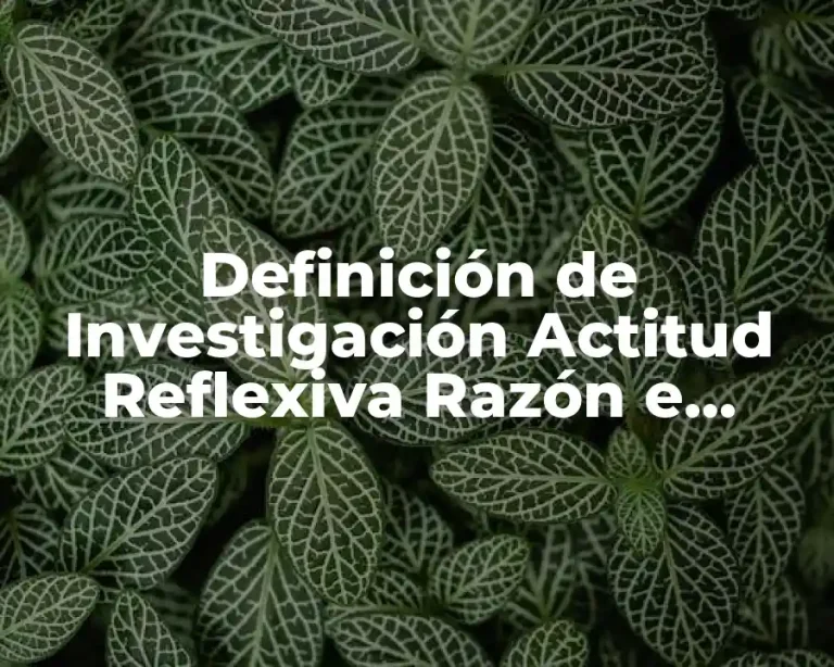 Definición de Investigación Actitud Reflexiva Razón e Intuición