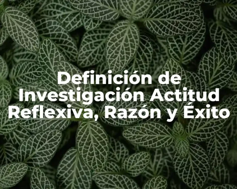 Definición de Investigación Actitud Reflexiva, Razón y Éxito
