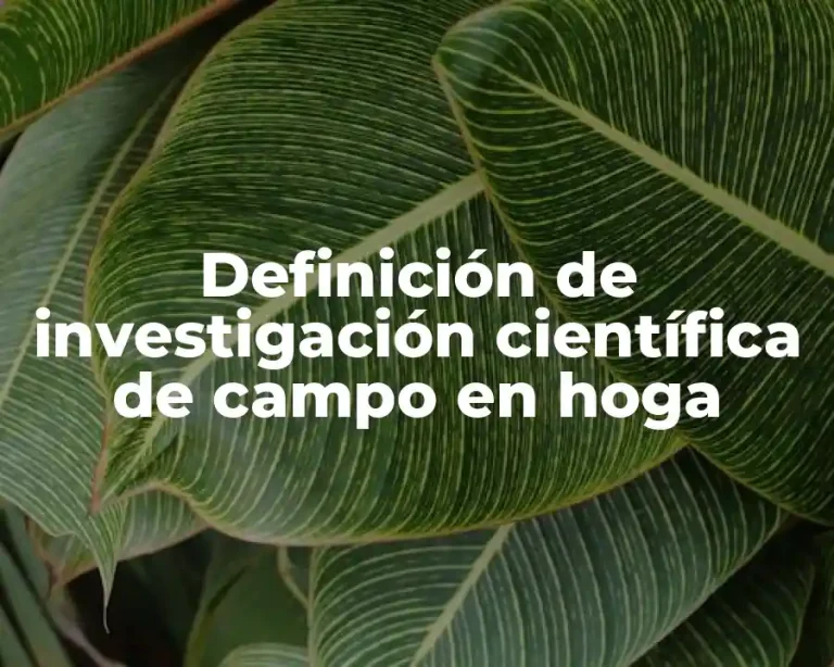 Definición de investigación científica de campo en hoga