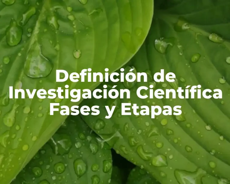 Definición de Investigación Científica Fases y Etapas