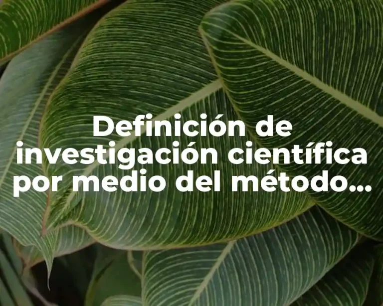 Definición de investigación científica por medio del método inductivo