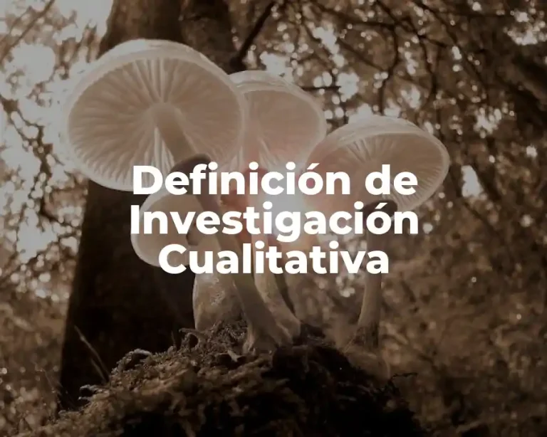 Definición de Investigación Cualitativa