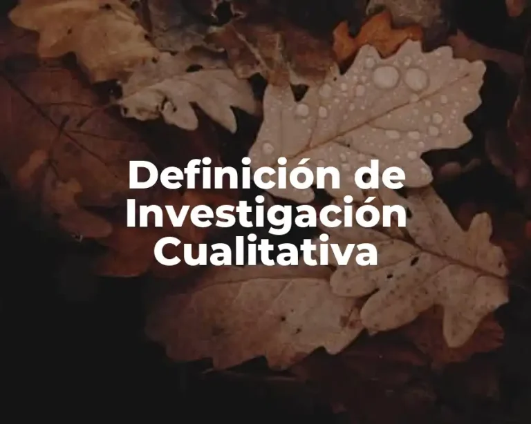Definición de Investigación Cualitativa