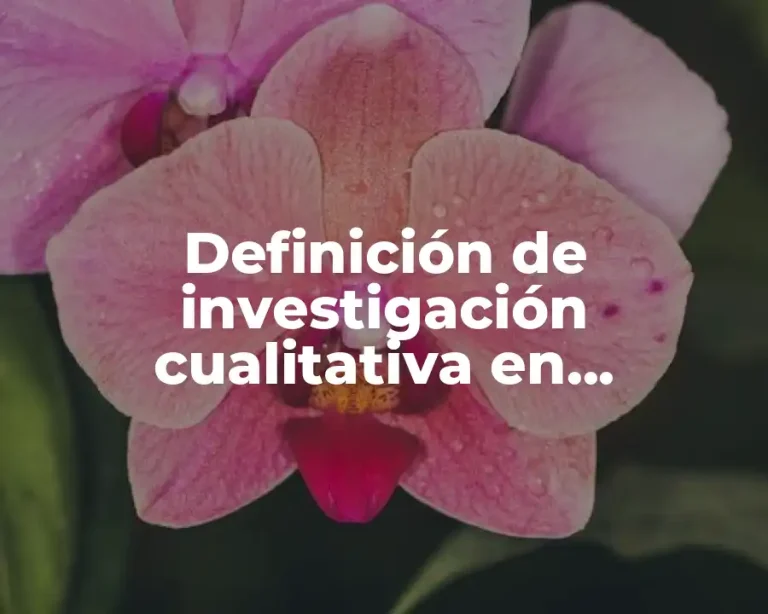 Definición de investigación cualitativa en educación básica