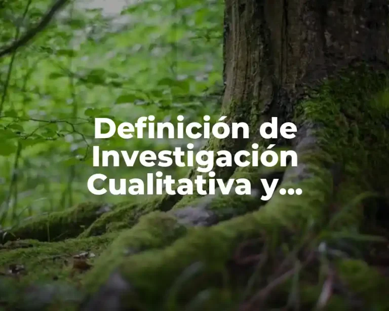 Definición de Investigación Cualitativa y Cuantitativa
