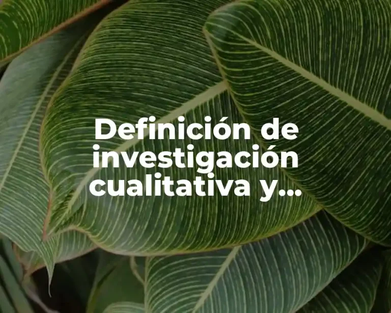 Definición de investigación cualitativa y cuantitativa en educación