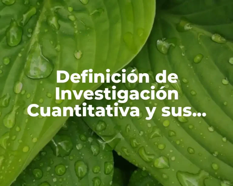 Definición de Investigación Cuantitativa y sus Pasos