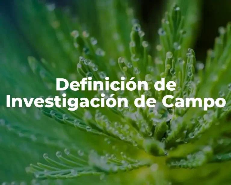 Definición de Investigación de Campo