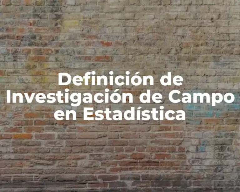 Definición de Investigación de Campo en Estadística