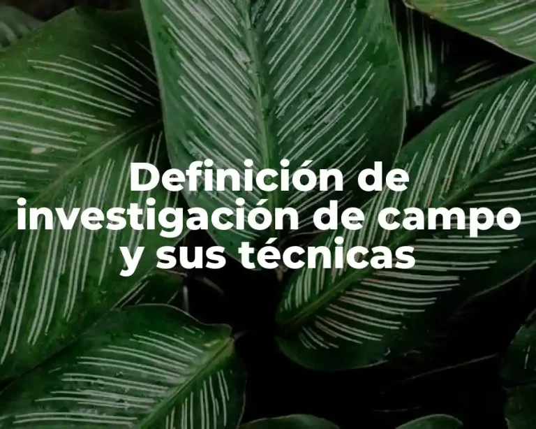 Definición de investigación de campo y sus técnicas