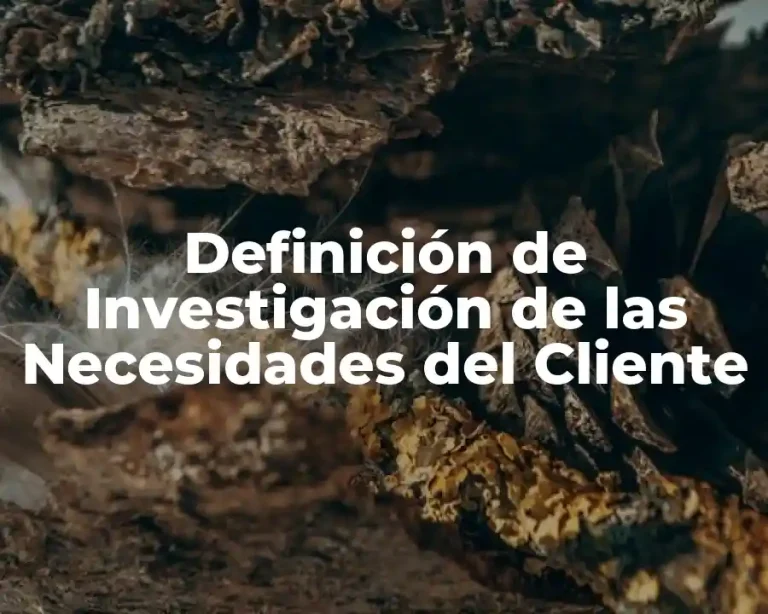 Definición de Investigación de las Necesidades del Cliente