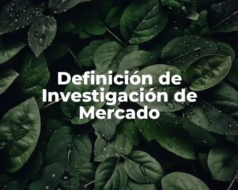 Definición de Investigación de Mercado