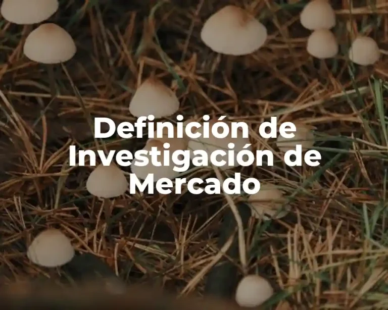 Definición de Investigación de Mercado
