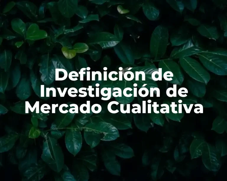 Definición de Investigación de Mercado Cualitativa