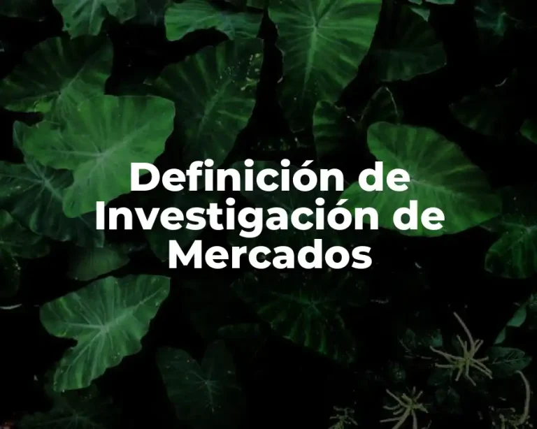 Definición de Investigación de Mercados
