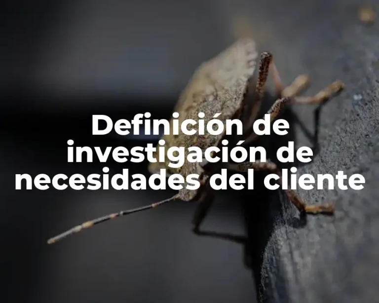 Definición de investigación de necesidades del cliente