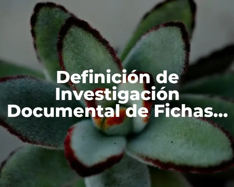 Definición de Investigación Documental de Fichas Legiscográficas