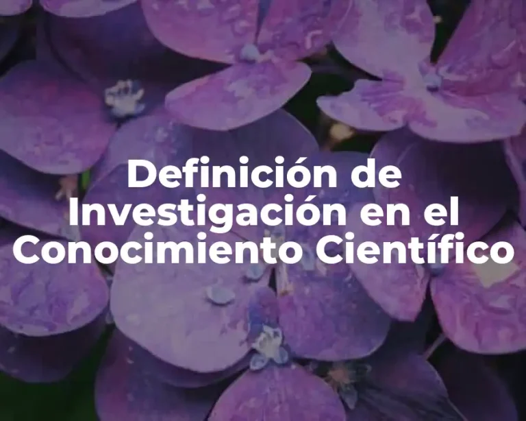 Definición de Investigación en el Conocimiento Científico