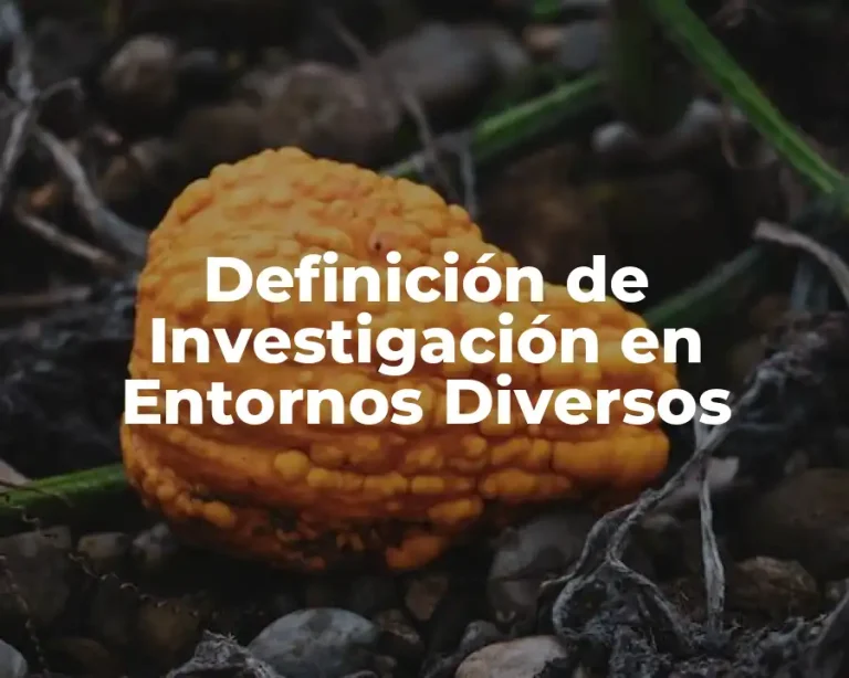 Definición de Investigación en Entornos Diversos