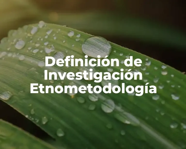 Definición de Investigación Etnometodología
