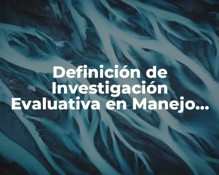 Definición de Investigación Evaluativa en Manejo de Libros