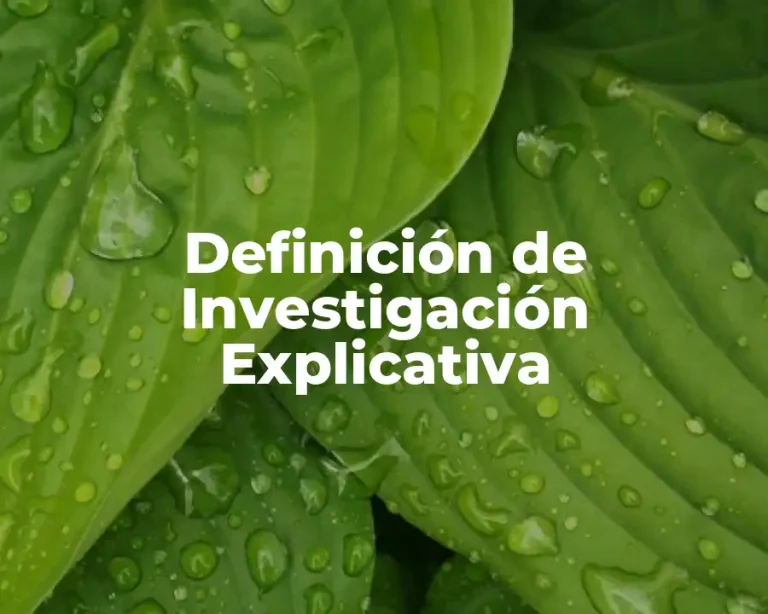 Definición de Investigación Explicativa