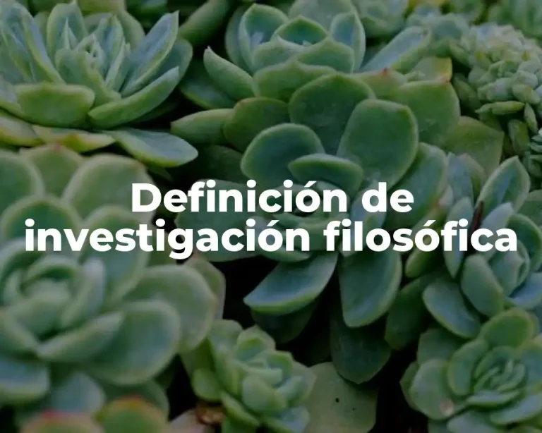 Definición de investigación filosófica