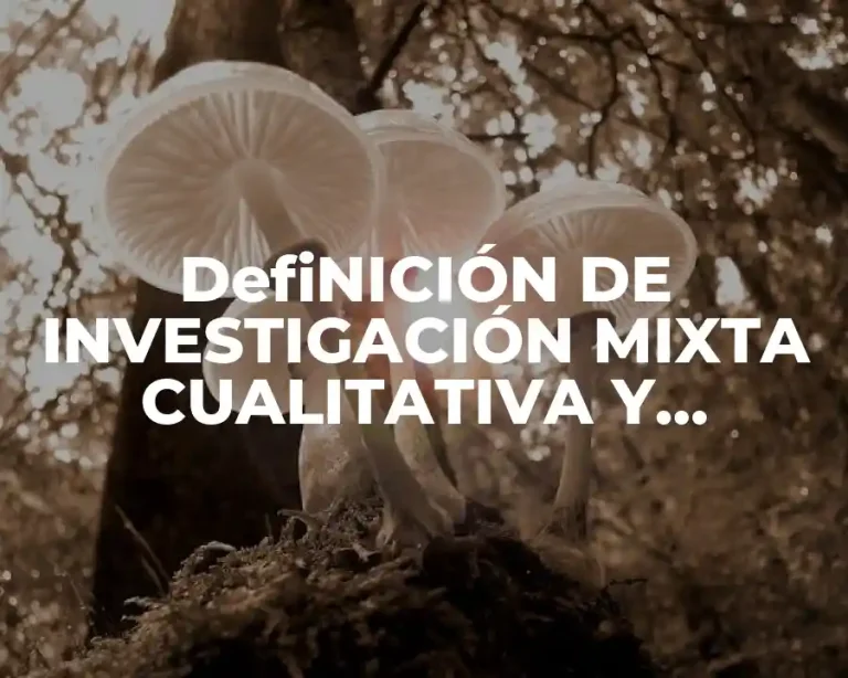 DefiNICIÓN DE INVESTIGACIÓN MIXTA CUALITATIVA Y CUANTITATIVA