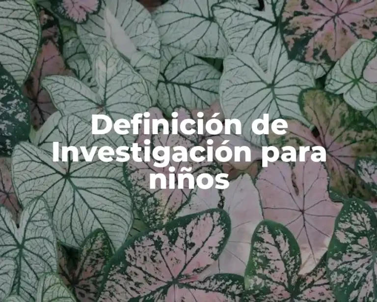 Definición de Investigación para niños