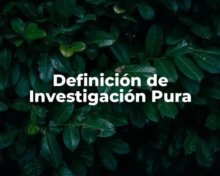 Definición de Investigación Pura