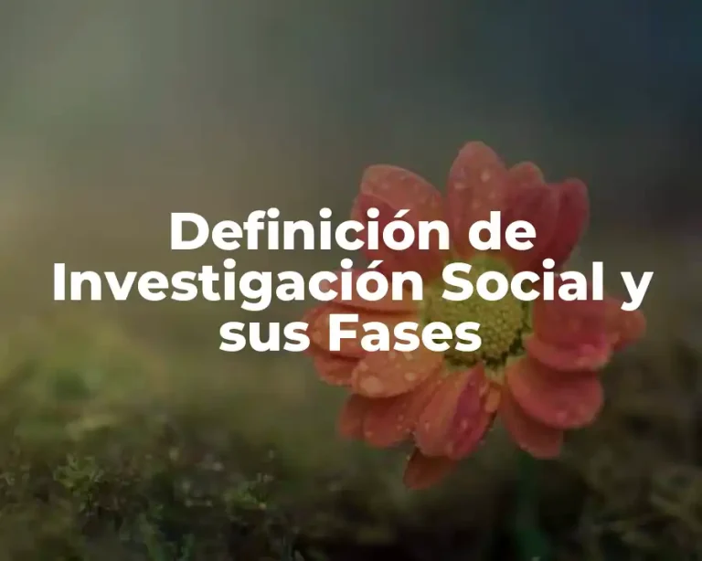 Definición de Investigación Social y sus Fases