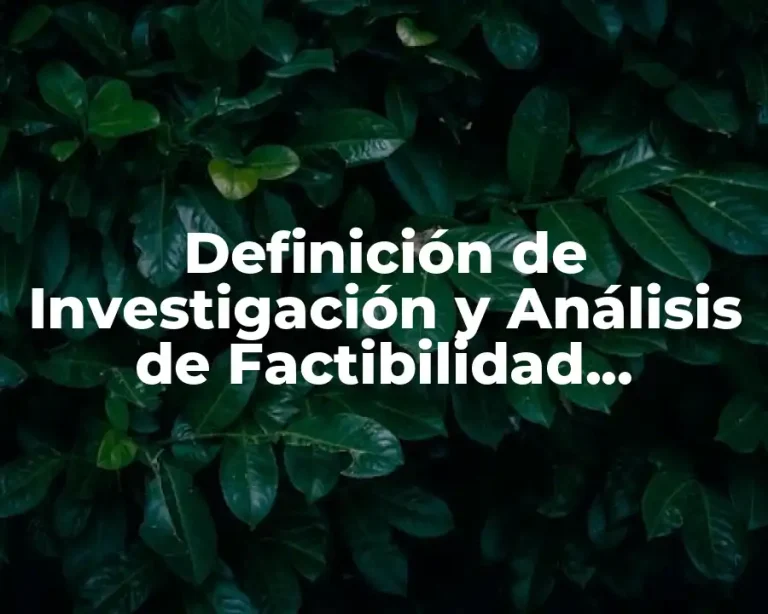 Definición de Investigación y Análisis de Factibilidad Internacional
