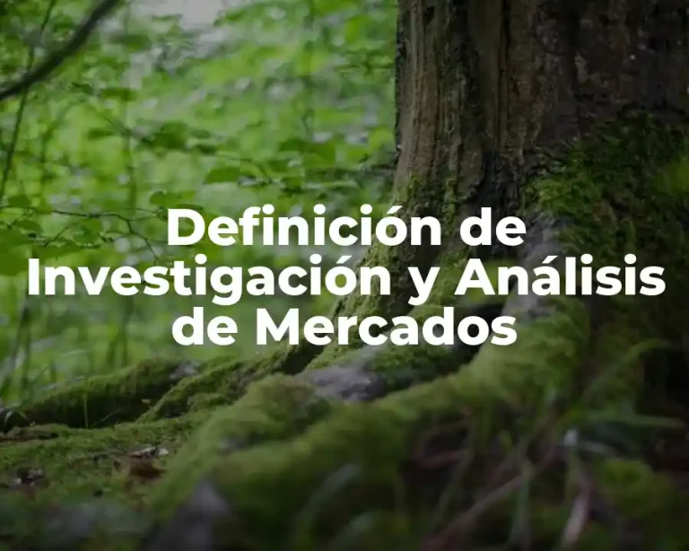 Definición de Investigación y Análisis de Mercados