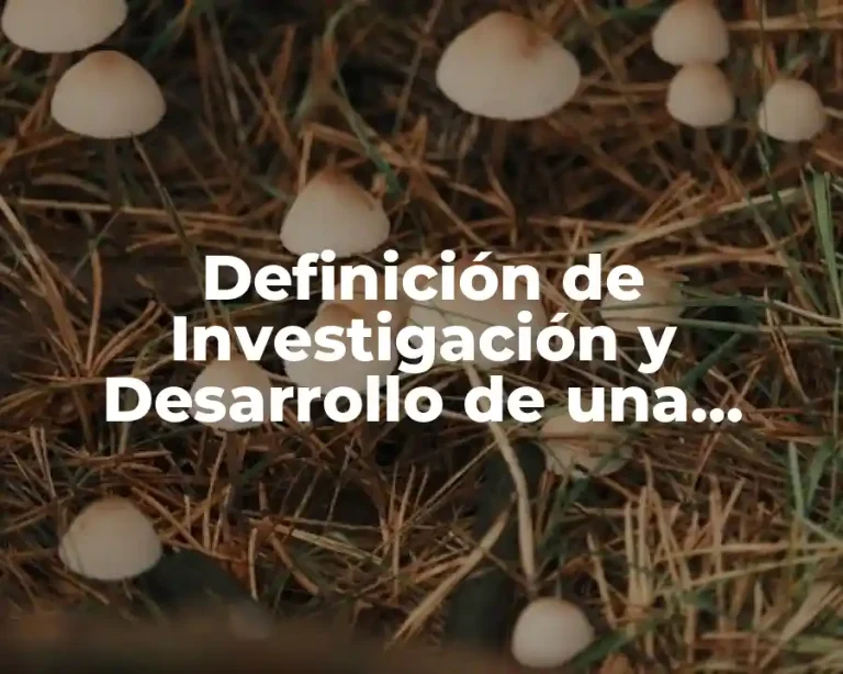 Definición de Investigación y Desarrollo de una Empresa