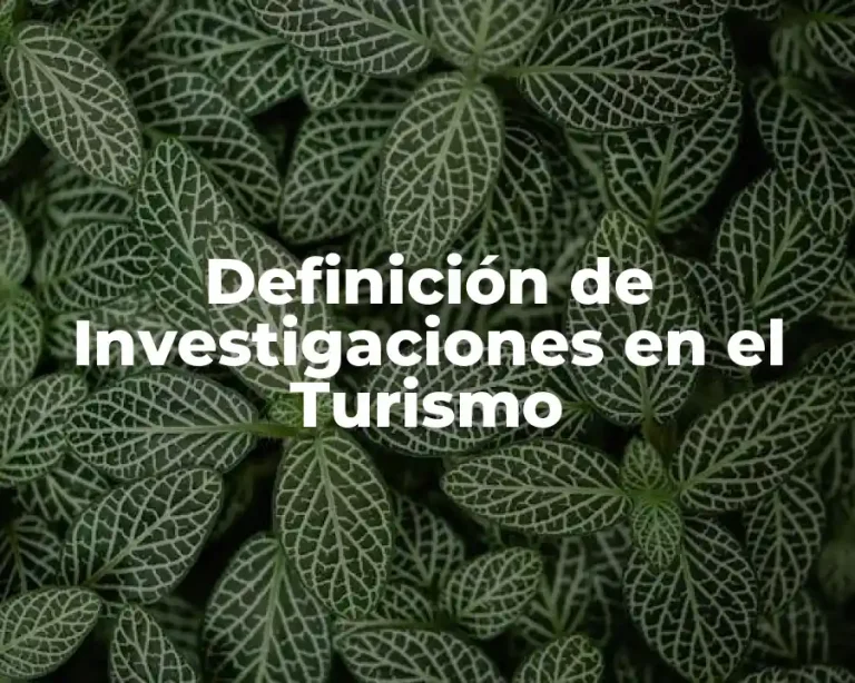 Definición de Investigaciones en el Turismo