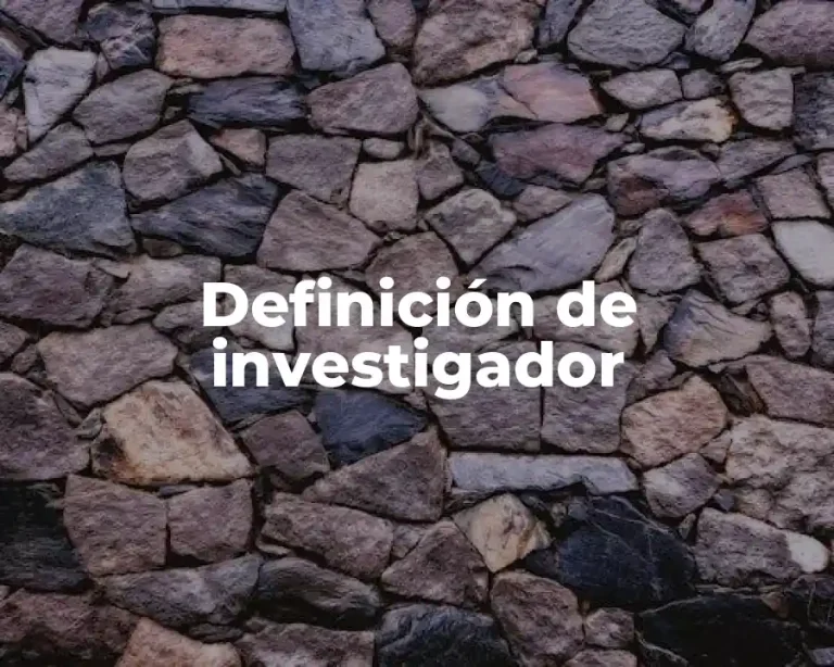Definición de investigador