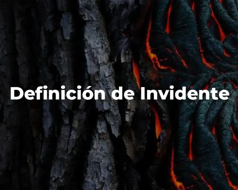 Definición de Invidente