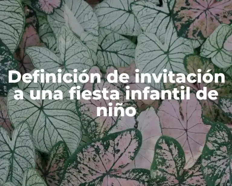 Definición de invitación a una fiesta infantil de niño