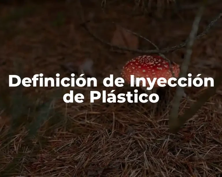Definición de Inyección de Plástico