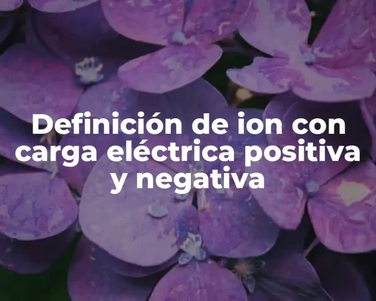 Definición de ion con carga eléctrica positiva y negativa