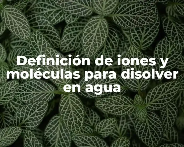 Definición de iones y moléculas para disolver en agua