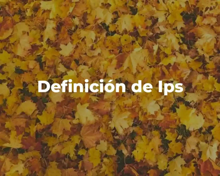 Definición de Ips