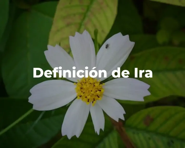 Definición de Ira
