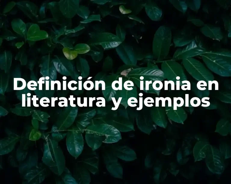 Definición de ironia en literatura y ejemplos